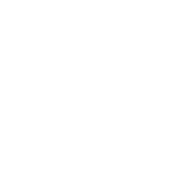 internet connectivity