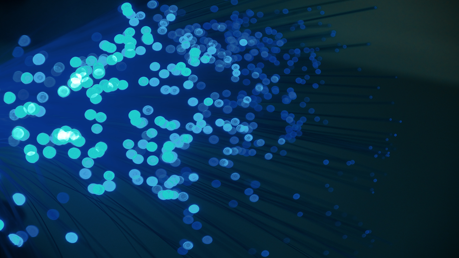 What is FTTP? Fibre To The Premises Explained